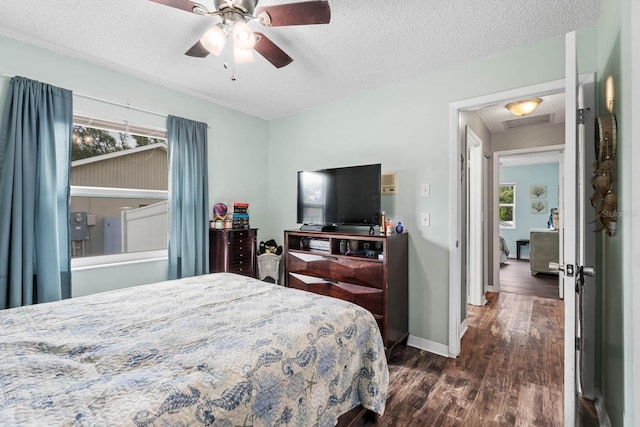 8018 Philatelic Dr, Spring Hill, FL 34606 - photo 50