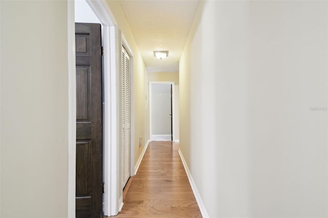 4514 John Moore Rd, Brandon, FL 33511 - corridor featuring light wood finished floors and baseboards