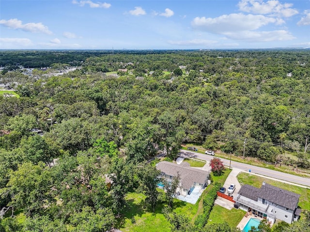 4514 John Moore Rd, Brandon, FL 33511 - bird's eye view of a forest