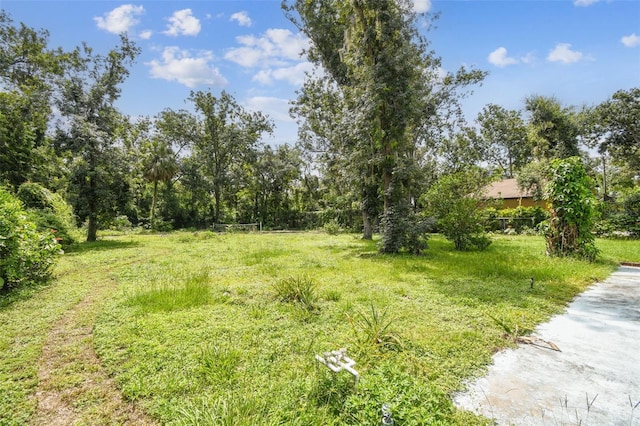 4514 John Moore Rd, Brandon, FL 33511 - view of yard