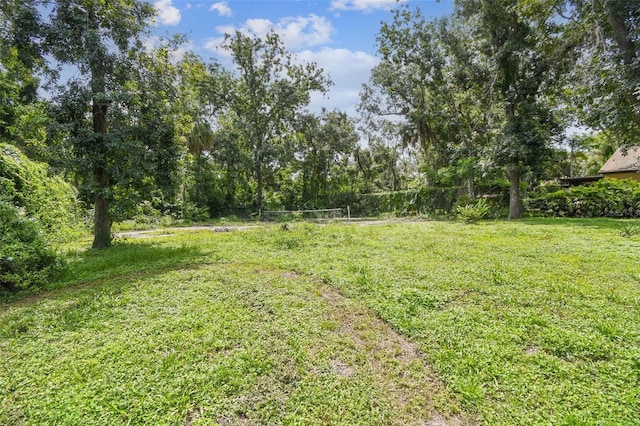 4514 John Moore Rd, Brandon, FL 33511 - view of yard