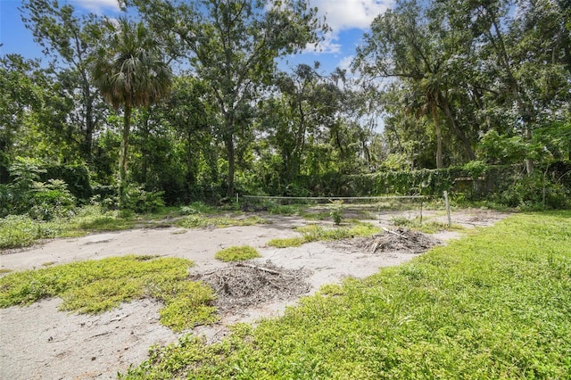 4514 John Moore Rd, Brandon, FL 33511 - view of yard featuring volleyball court