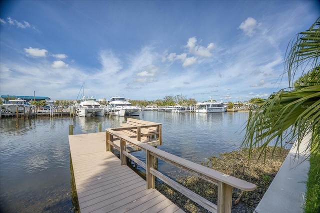 1301 Sea Gull Dr S, Gulfport, FL 33707 - photo 5