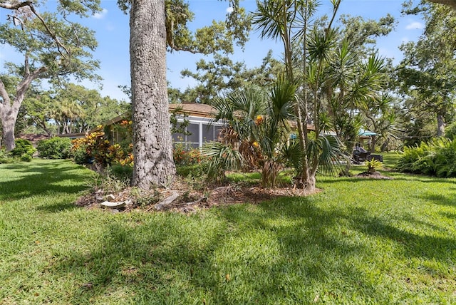 7051 Bright Creek Dr Unit 6, Sarasota, FL 34231 - view of grassy yard