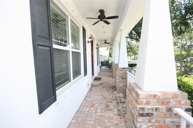 3623 S Omar Ave, Tampa, FL 33629 - photo 7