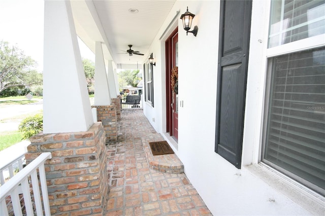 3623 S Omar Ave, Tampa, FL 33629 - photo 8