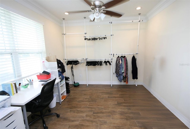 3623 S Omar Ave, Tampa, FL 33629 - photo 10