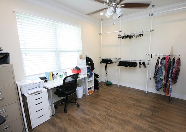 3623 S Omar Ave, Tampa, FL 33629 - photo 11