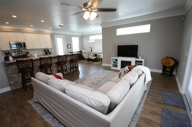 3623 S Omar Ave, Tampa, FL 33629 - photo 24