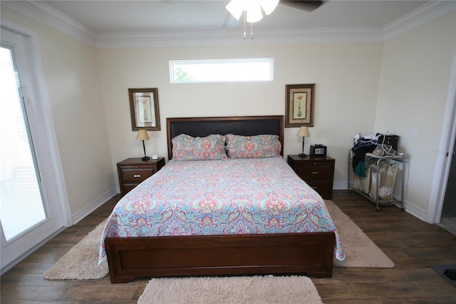 3623 S Omar Ave, Tampa, FL 33629 - photo 28
