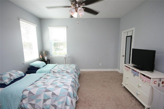 3623 S Omar Ave, Tampa, FL 33629 - photo 45
