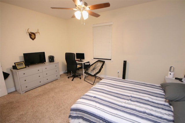 3623 S Omar Ave, Tampa, FL 33629 - photo 55