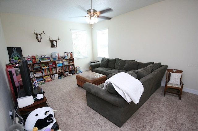 3623 S Omar Ave, Tampa, FL 33629 - photo 57