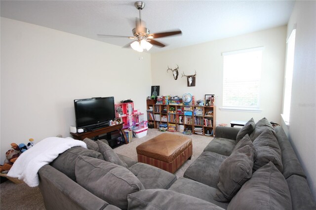 3623 S Omar Ave, Tampa, FL 33629 - photo 59