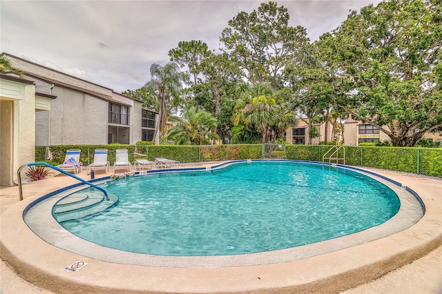 700 Starkey Rd Unit 1124, Largo, FL 33771 - view of community pool