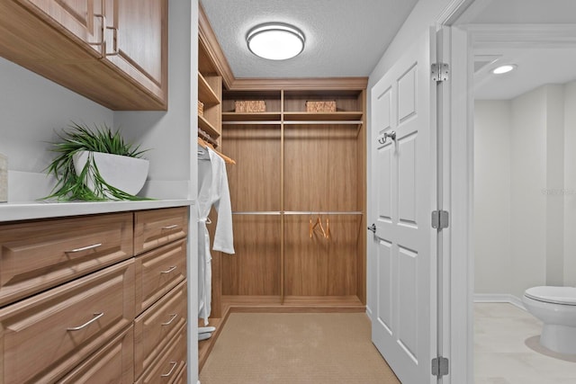 371 Channelside Walk Way Unit 1104, Tampa, FL 33602 - walk in closet featuring light colored carpet