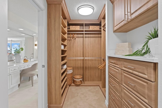 371 Channelside Walk Way Unit 1104, Tampa, FL 33602 - spacious closet featuring a sink