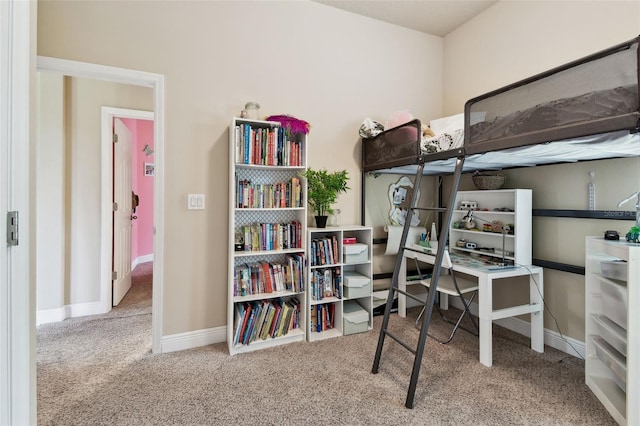 6934 Old Benton Dr, Apollo Beach, FL 33572 - bedroom featuring carpet flooring