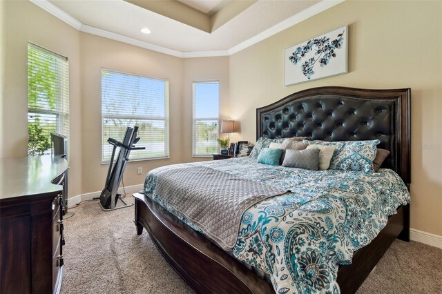 6934 Old Benton Dr, Apollo Beach, FL 33572 - bedroom featuring carpet, crown molding, and a raised ceiling