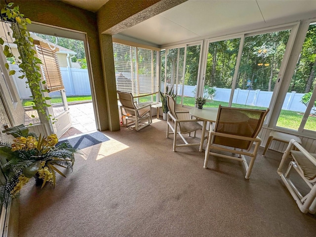 13903 Caden Glen Dr, Hudson, FL 34669 - photo 52