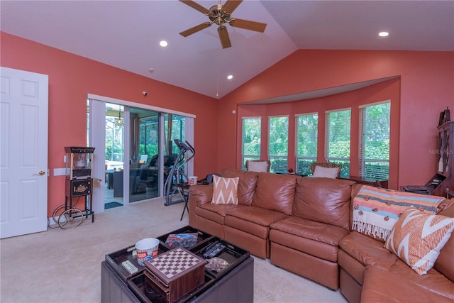 911 Pine Lake Dr, Tarpon Springs, FL 34688 - photo 28