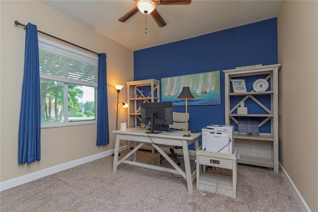 911 Pine Lake Dr, Tarpon Springs, FL 34688 - photo 44