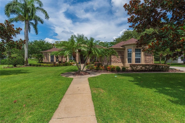911 Pine Lake Dr, Tarpon Springs, FL 34688 - photo 78