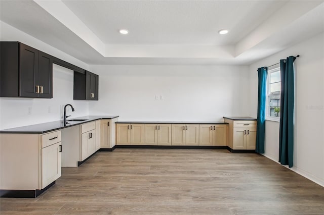 33157 Rosewood Bark Way, Wesley Chapel, FL 33545 - kitchen featuring a raised ceiling, light wood finished floors, and recessed lighting