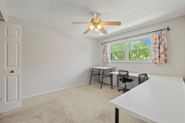5920 80th St N Unit 309, Saint Petersburg, FL 33709 - photo 18