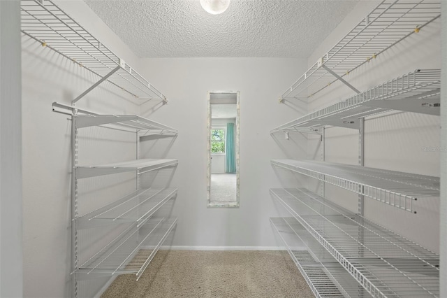 5920 80th St N Unit 309, Saint Petersburg, FL 33709 - photo 24