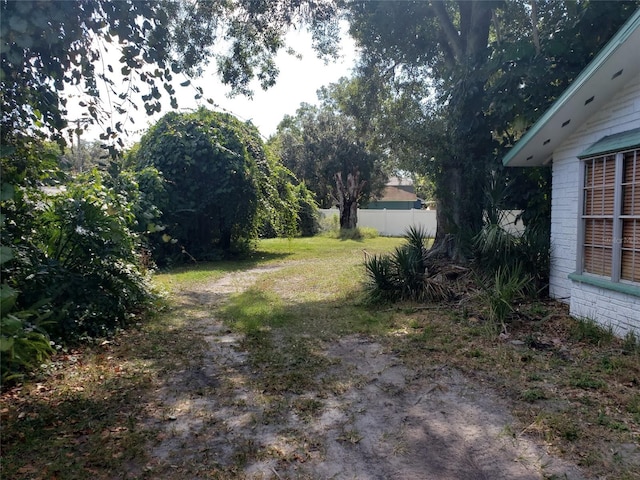 508 Dartmouth Ave E, Oldsmar, FL 34677 - view of yard