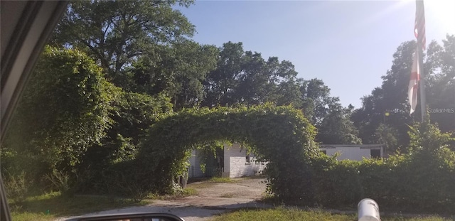 508 Dartmouth Ave E, Oldsmar, FL 34677 - view of yard