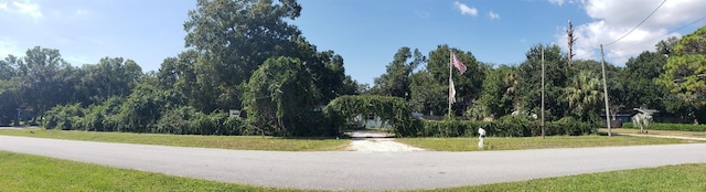 508 Dartmouth Ave E, Oldsmar, FL 34677 - view of property's community