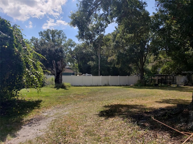 508 Dartmouth Ave E, Oldsmar, FL 34677 - view of yard