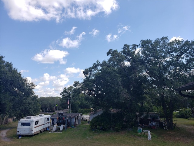 508 Dartmouth Ave E, Oldsmar, FL 34677 - view of yard