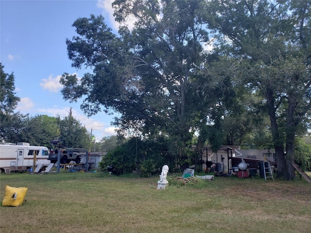 508 Dartmouth Ave E, Oldsmar, FL 34677 - view of grassy yard