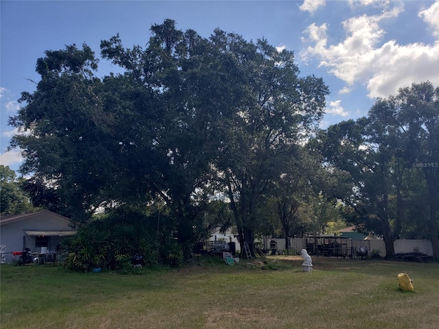 508 Dartmouth Ave E, Oldsmar, FL 34677 - view of grassy yard
