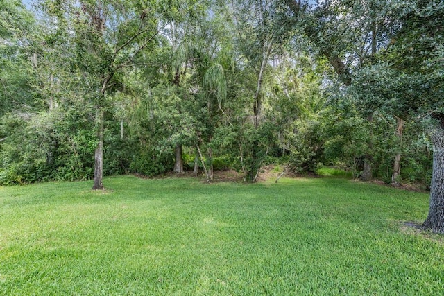 14677 Canopy Dr, Tampa, FL 33626 - photo 38