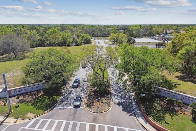 8030 San Bernardino Dr, Port Richey, FL 34668 - bird's eye view of a heavily wooded area