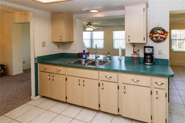 10139 44th Way N Unit 10139, Pinellas Park, FL 33782 - photo 14