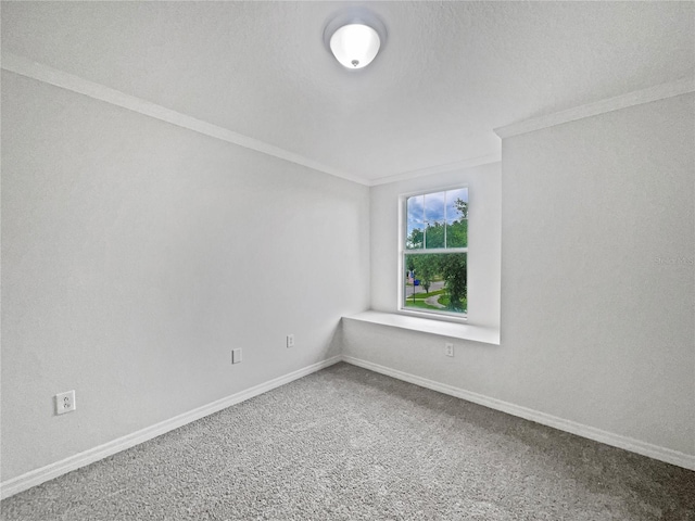 1603 Carson White Ln, Ruskin, FL 33570 - photo 15