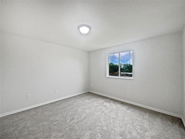 1603 Carson White Ln, Ruskin, FL 33570 - photo 10
