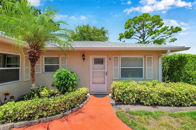 2182 Corinne Ct S Unit C, Saint Petersburg, FL 33712 - doorway to property featuring stucco siding