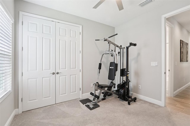 5426 Wayfarer Ave, Apollo Beach, FL 33572 - workout area featuring carpet and ceiling fan