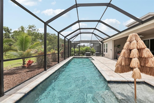 5426 Wayfarer Ave, Apollo Beach, FL 33572 - outdoor pool featuring a patio area and glass enclosure