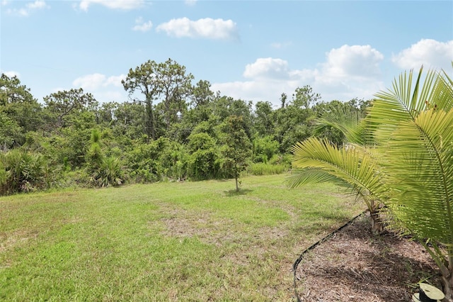 5426 Wayfarer Ave, Apollo Beach, FL 33572 - view of grassy yard