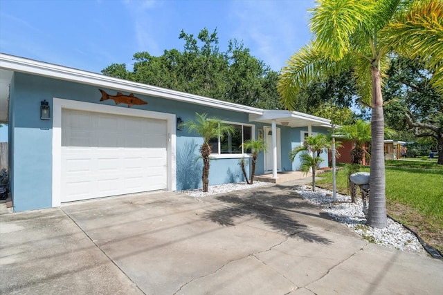 1226 Robin Hood Ln, Dunedin, FL 34698 - photo 53