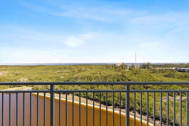 10851 Mangrove Cay Ln NE Unit 1112, Saint Petersburg, FL 33716 - photo 29