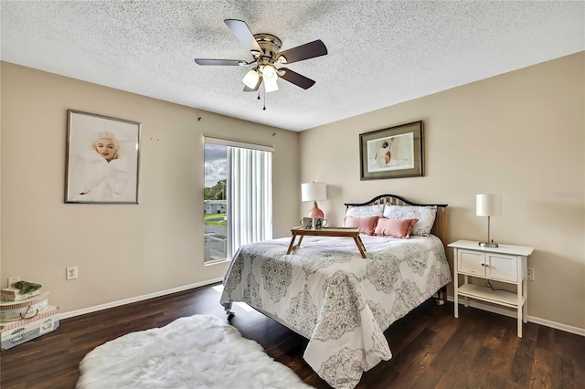 11901 Cypress Hill Cir, Tampa, FL 33626 - photo 17