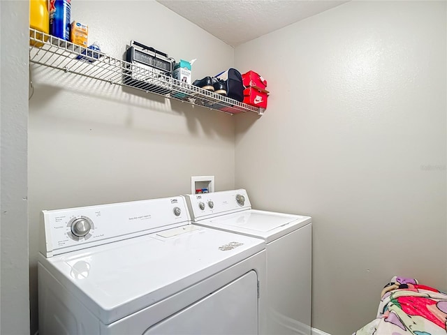30616 Lanesborough Cir, Wesley Chapel, FL 33543 - photo 60